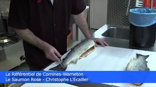 Saumon Rose Écailler Le Référentiel Comines-Warneton